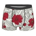 thumbnail image 1 of Fotbe Leaves And Anemone Flowers In Red Grey Men’s Total Support Pouch Boxer Briefs, X-Temp Cooling, Moisture-Wicking Underwear, Regular, Long-leg and Trunk-Medium, 1 of 9