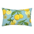 thumbnail image 1 of Fotbe Lemon Pillow Cases - Envelope Closure - Luxury, Extra Soft, Cooling Pillow Covers - Wrinkle, Fade, Stain Resistant-16"x24", 1 of 9