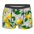 thumbnail image 1 of Fotbe Lemon Seamless Pattern Oil Painting Effect Men’s Total Support Pouch Boxer Briefs, X-Temp Cooling, Moisture-Wicking Underwear, Regular, Long-leg and Trunk-Small, 1 of 9