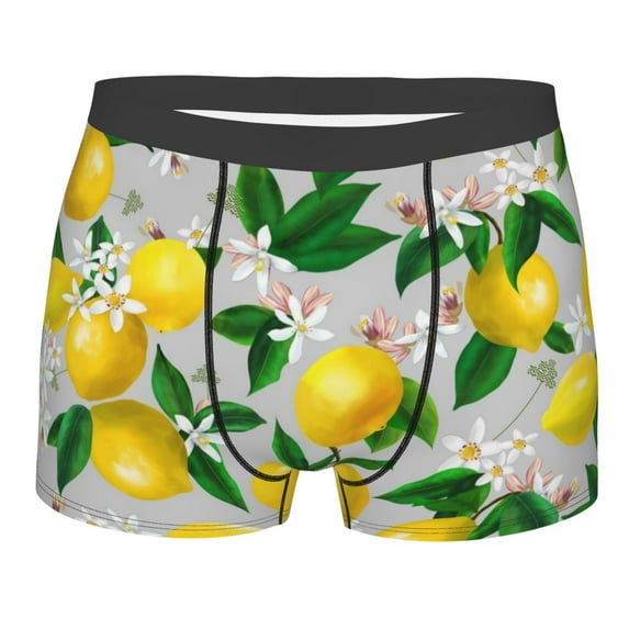 Fotbe Lemon Seamless Pattern Oil Painting Effect Men’s Total Support Pouch Boxer Briefs, X-Temp Cooling, Moisture-Wicking Underwear, Regular, Long-leg and Trunk-Small