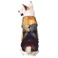 thumbnail image 1 of Fotbe Maple Leaf Meditating Squirrel Print Small Dog Sweater Hoodies Pet Grey Hooded Soft Fleece Sweatshirts with Pocket Fall Winter Puppy Cat Sweaters Warm Clothes-X-Large, 1 of 7