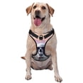 thumbnail image 1 of Fotbe Mist Sunflower Skull Pattern Dog Harness, No-Pull Pet Harness with 2 Leash Clips, Adjustable Soft Padded Dog Vest with Easy Control Handle for Large Dogs-Medium, 1 of 6