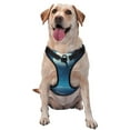 thumbnail image 1 of Fotbe Night Sky Moon Dolphin Pattern Dog Harness, No-Pull Pet Harness with 2 Leash Clips, Adjustable Soft Padded Dog Vest with Easy Control Handle for Large Dogs-Small, 1 of 6
