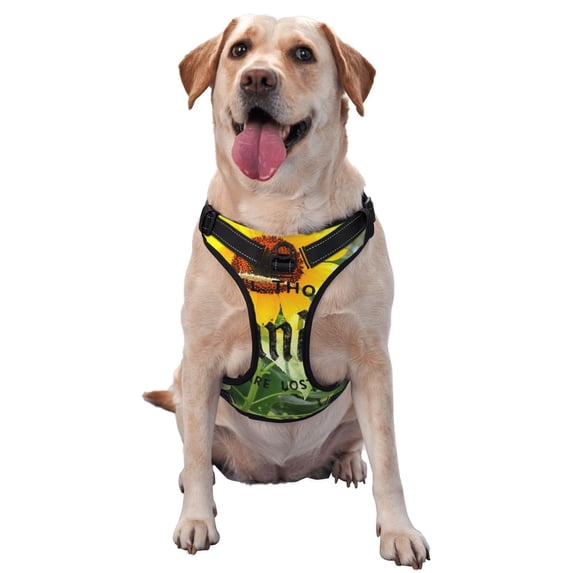 Fotbe Not All Who Wander Are Lost Pattern Dog Harness, No-Pull Pet Harness with 2 Leash Clips, Adjustable Soft Padded Dog Vest with Easy Control Handle for Large Dogs-Large