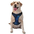 thumbnail image 1 of Fotbe Pegasus Night Sky Pattern Dog Harness, No-Pull Pet Harness with 2 Leash Clips, Adjustable Soft Padded Dog Vest with Easy Control Handle for Large Dogs-Large, 1 of 6