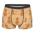thumbnail image 1 of Fotbe Pineapples Men’s Total Support Pouch Boxer Briefs, X-Temp Cooling, Moisture-Wicking Underwear, Regular, Long-leg and Trunk-Large, 1 of 9