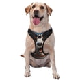 thumbnail image 1 of Fotbe Playful Smile Cute Dog Pattern Dog Harness, No-Pull Pet Harness with 2 Leash Clips, Adjustable Soft Padded Dog Vest with Easy Control Handle for Large Dogs-Medium, 1 of 6