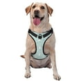 thumbnail image 1 of Fotbe Playing Rabbit Pattern Dog Harness, No-Pull Pet Harness with 2 Leash Clips, Adjustable Soft Padded Dog Vest with Easy Control Handle for Large Dogs-Small, 1 of 6