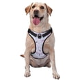 thumbnail image 1 of Fotbe Purple Butterfly Pattern Dog Harness, No-Pull Pet Harness with 2 Leash Clips, Adjustable Soft Padded Dog Vest with Easy Control Handle for Large Dogs-X-Large, 1 of 6
