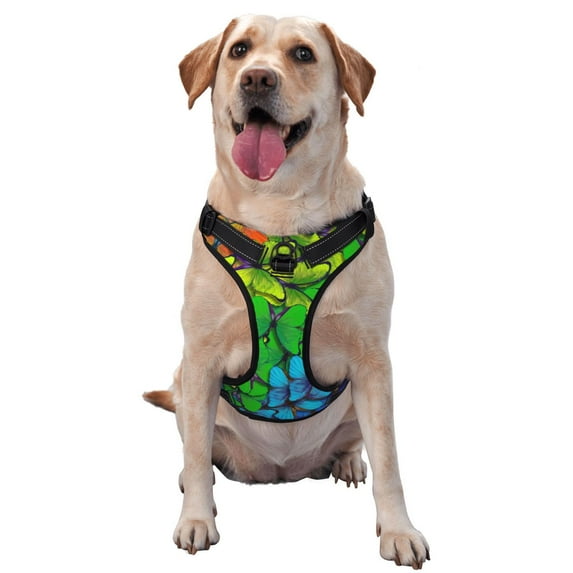 Fotbe Rainbow Butterflies Pattern Dog Harness, No-Pull Pet Harness with 2 Leash Clips, Adjustable Soft Padded Dog Vest with Easy Control Handle for Large Dogs-Small