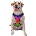 thumbnail image 1 of Fotbe Rainbow Glitter Pattern Dog Harness, No-Pull Pet Harness with 2 Leash Clips, Adjustable Soft Padded Dog Vest with Easy Control Handle for Large Dogs-Large, 1 of 6