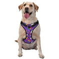 thumbnail image 1 of Fotbe Rainbow Lgbt Penguin Pattern Dog Harness, No-Pull Pet Harness with 2 Leash Clips, Adjustable Soft Padded Dog Vest with Easy Control Handle for Large Dogs-Medium, 1 of 6