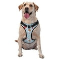thumbnail image 1 of Fotbe Sea Turtle Pattern Dog Harness, No-Pull Pet Harness with 2 Leash Clips, Adjustable Soft Padded Dog Vest with Easy Control Handle for Large Dogs-Small, 1 of 6