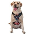 thumbnail image 1 of Fotbe Skull With Roses And Sunglasses Pattern Dog Harness, No-Pull Pet Harness with 2 Leash Clips, Adjustable Soft Padded Dog Vest with Easy Control Handle for Large Dogs-Small, 1 of 6