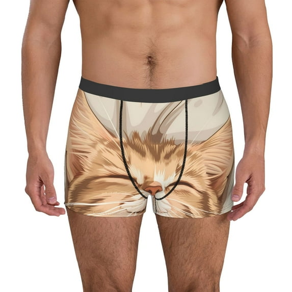 Fotbe Sleeping Cat In Blanket Men’s Total Support Pouch Boxer Briefs, X-Temp Cooling, Moisture-Wicking Underwear, Regular, Long-leg and Trunk-Large