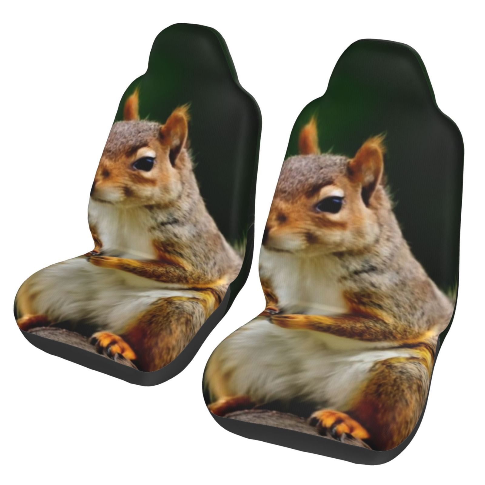 Fotbe Squirrels Eating Peanuts On The Tree Pattern Automotive Seat