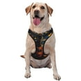 thumbnail image 1 of Fotbe Starry Night Cat Guitarist Pattern Dog Harness, No-Pull Pet Harness with 2 Leash Clips, Adjustable Soft Padded Dog Vest with Easy Control Handle for Large Dogs-Small, 1 of 6