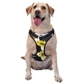 thumbnail image 1 of Fotbe Sunflowers Country Pattern Dog Harness, No-Pull Pet Harness with 2 Leash Clips, Adjustable Soft Padded Dog Vest with Easy Control Handle for Large Dogs-Small, 1 of 6