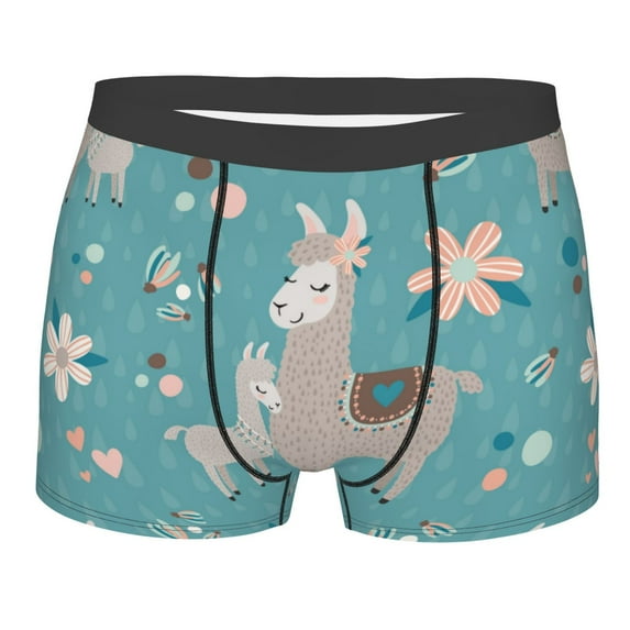 Fotbe Teal Mama Llama Men’s Total Support Pouch Boxer Briefs, X-Temp Cooling, Moisture-Wicking Underwear, Regular, Long-leg and Trunk-X-Large