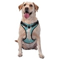 thumbnail image 1 of Fotbe Teal Mama Llama Pattern Dog Harness, No-Pull Pet Harness with 2 Leash Clips, Adjustable Soft Padded Dog Vest with Easy Control Handle for Large Dogs-Medium, 1 of 6
