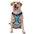 thumbnail image 1 of Fotbe Teal Turquoise Fluid Stripes Pattern Dog Harness, No-Pull Pet Harness with 2 Leash Clips, Adjustable Soft Padded Dog Vest with Easy Control Handle for Large Dogs-Small, 1 of 6