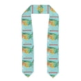 thumbnail image 1 of Fotbe USA Tourist Map Printed Class of 2024 Graduation Stole, 1 of 7