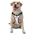thumbnail image 1 of Fotbe Watercolor Gnome Garden Pattern Dog Harness, No-Pull Pet Harness with 2 Leash Clips, Adjustable Soft Padded Dog Vest with Easy Control Handle for Large Dogs-X-Large, 1 of 6