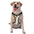 thumbnail image 1 of Fotbe Workers Cutting Grapes From Vineyard Pattern Dog Harness, No-Pull Pet Harness with 2 Leash Clips, Adjustable Soft Padded Dog Vest with Easy Control Handle for Large Dogs-Small, 1 of 6