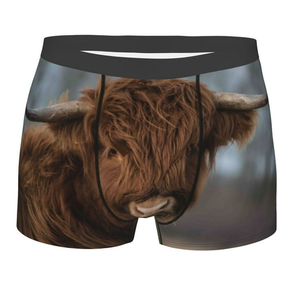 Fotbe Yak Men’s Total Support Pouch Boxer Briefs, X-Temp Cooling, Moisture-Wicking Underwear, Regular, Long-leg and Trunk-Small