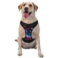 thumbnail image 1 of Fotbe v Pattern Dog Harness, No-Pull Pet Harness with 2 Leash Clips, Adjustable Soft Padded Dog Vest with Easy Control Handle for Large Dogs-Small, 1 of 6