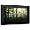 thumbnail image 1 of Foulke, Doug 14x11 Black Modern Framed Museum Art Print Titled - Light and Trees, 1 of 5