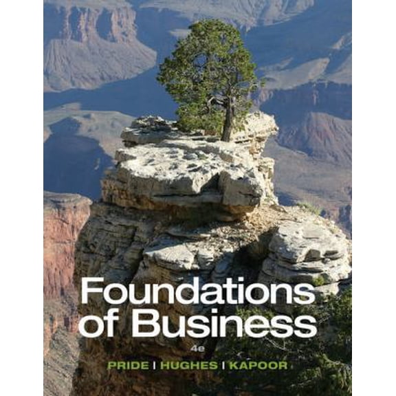 Pre-Owned Foundations of Business - Standalone book (Paperback) 1285193946 9781285193946