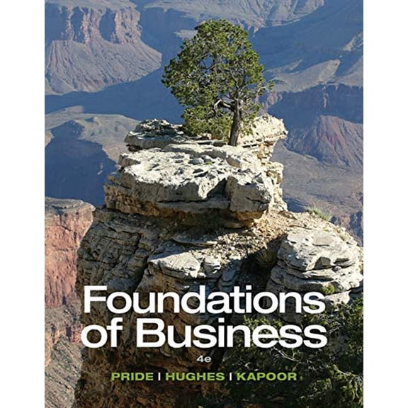Pre-Owned Foundations of Business - Standalone book (Paperback) 1285193946 9781285193946