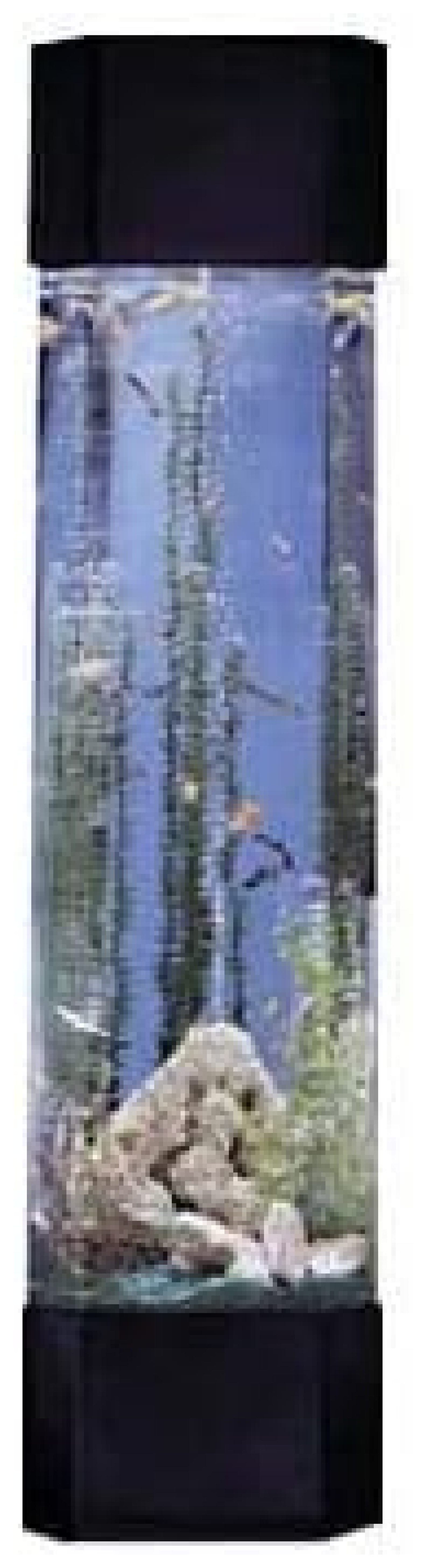 Fountain Aqua 30 Gallon Tower Pentagon Aquarium Kit