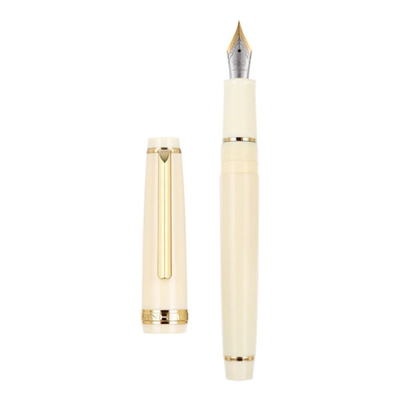Fountain Pen EF F Nib Writing Pen Smooth Left Right Hand Writing Instrument with Converter for Jinhao 82