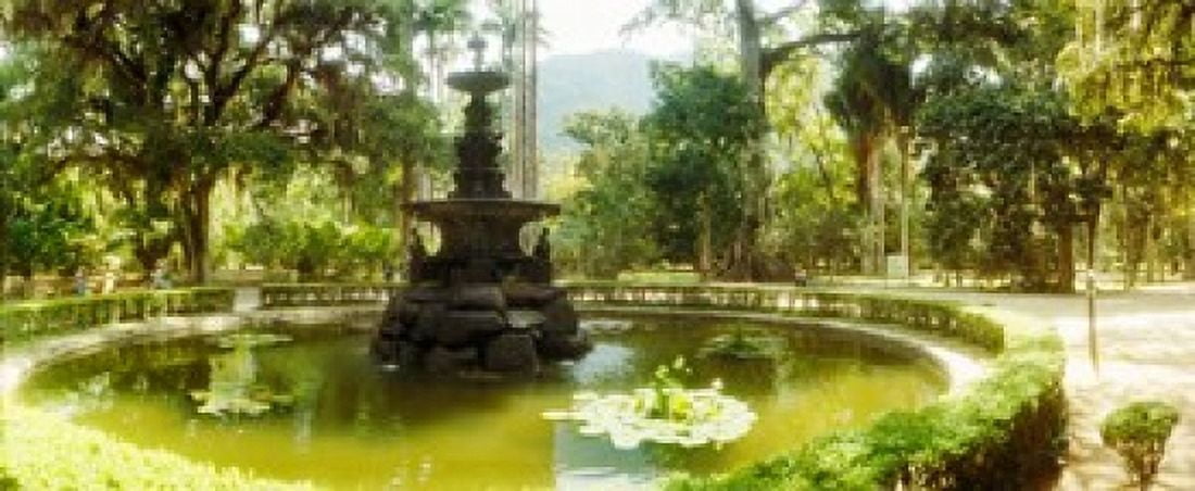 Fountain in a botanical garden Jardim Botanico Corcovado Rio de Janeiro Brazil Canvas Art - Panoramic Images (30 x 13)