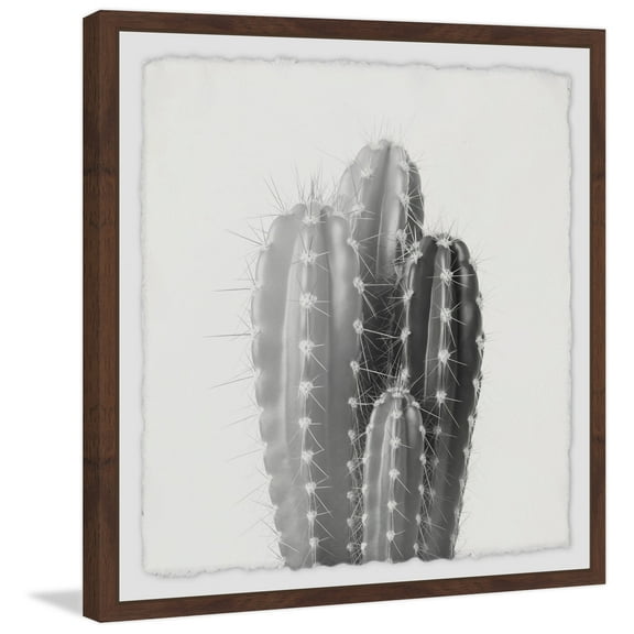 Four Cacti Framed Painting Art Print, 12.00" x 1.50"