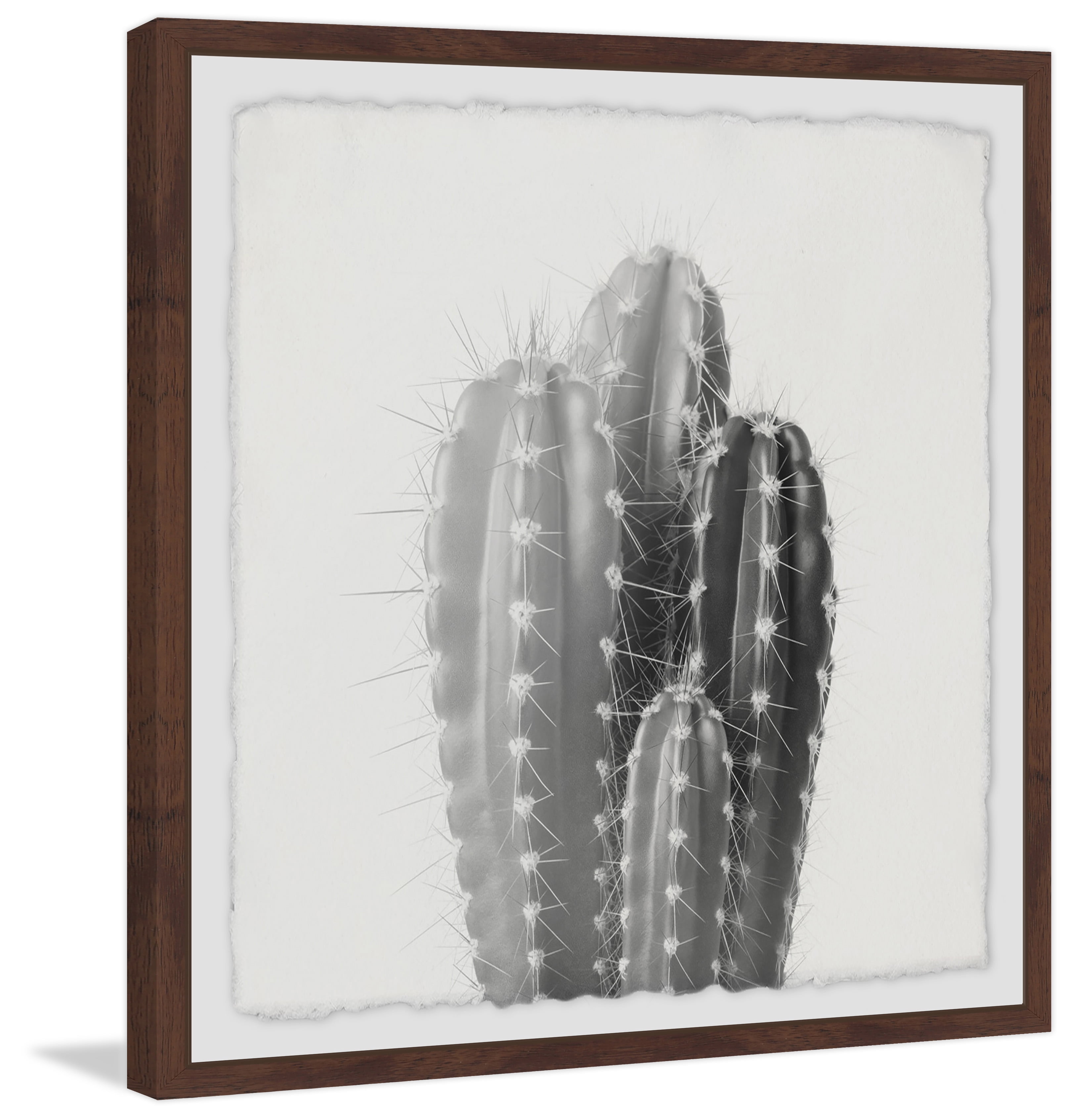 Four Cacti Framed Painting Art Print, 32.00" x 1.50"