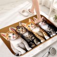 thumbnail image 1 of Four Cute Kittens Flannel Bath Mat 16x24 Inches, Soft Absorbent Non-Slip Bathroom Rug, Machine Washable Floor Mat for Shower, 1 of 7