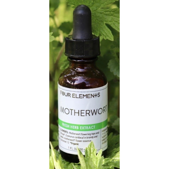Four Elements Organic Herbals Motherwort Herb Tincture 1 oz Liquid