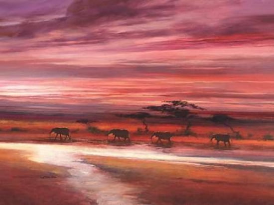 Four Elephants Canvas Art - Jonathan Sanders (18 x 24)