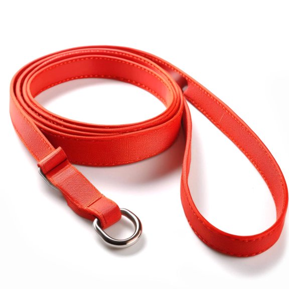 Four Flags Over Aspen 48-Inch Polypropylene Webbing Dog Slip Leash