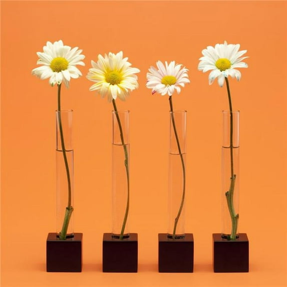 Four Flowers Poster Print, Large - 24 x 24