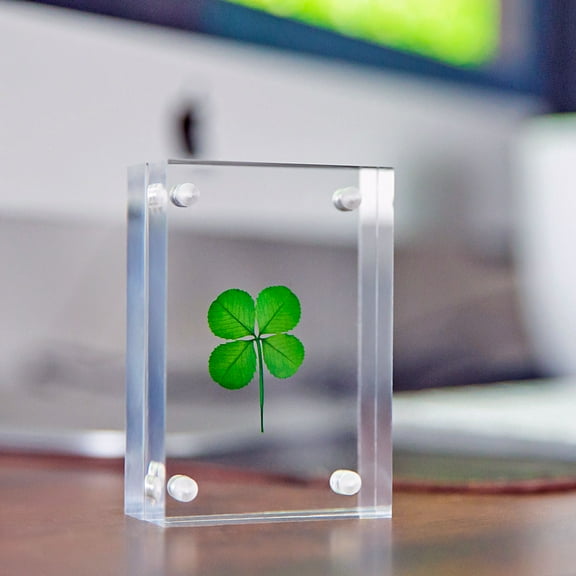 Four Leaf Clover in a Modern Minimalistic Clear Thick Acrylic Free Standing Block Frame