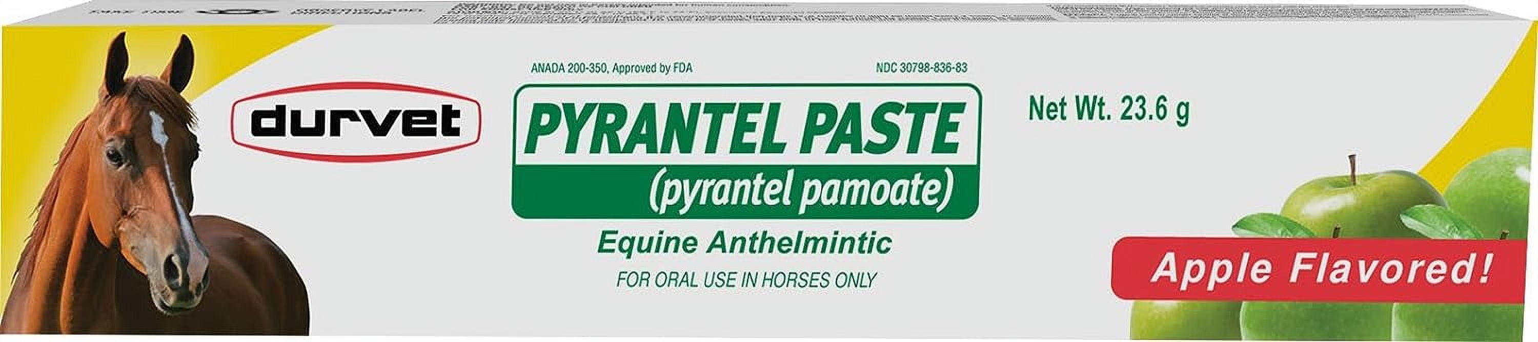Four Pack Durvet pyrantel pamoate apple Flavored Horse Dewormer mature