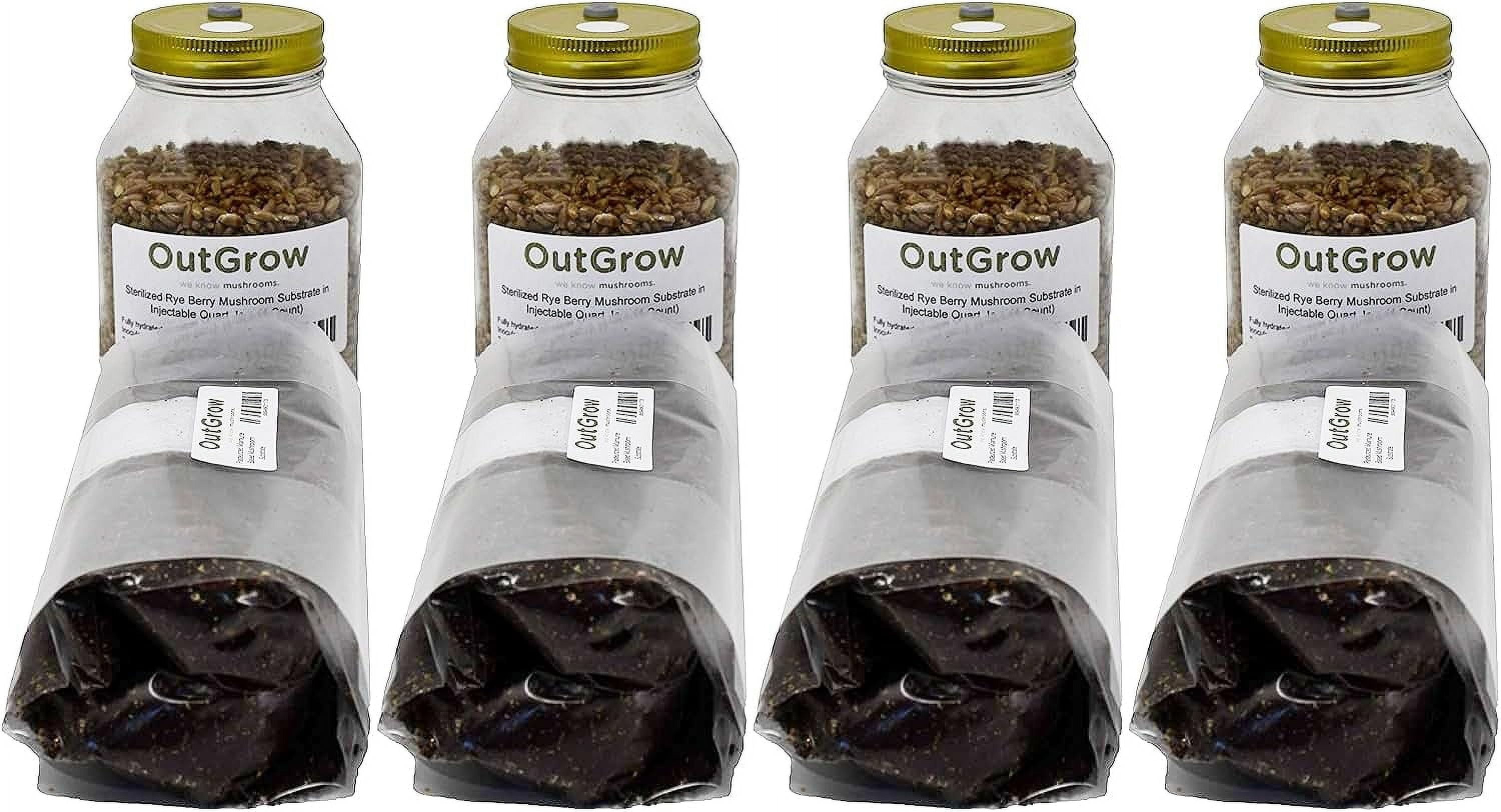 Four Quart Jars of Sterilized Rye and Four One Pound Bags of Manure ...