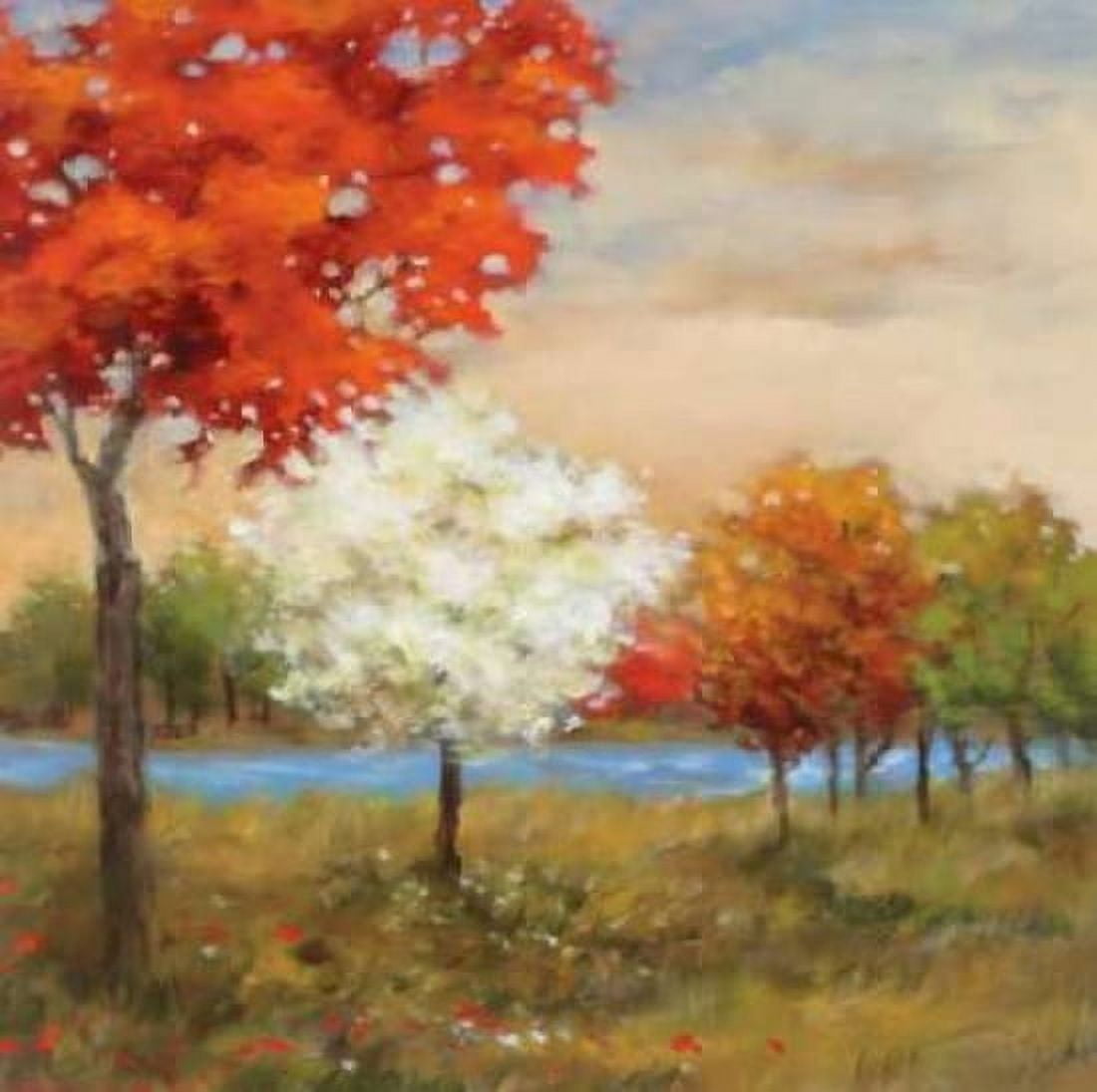 Four Seasons Canvas Art - Adam Rogers (24 x 24)