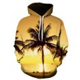 Four Seasons Fun 3D Printed Casual Hoodie Men's Cool Sunshine Beach