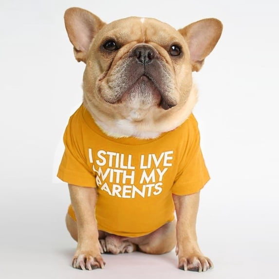 Four Seasons Pet Clothes Pug Round Neck T Shirt Comfortable Cute Teddy Small Dog Cat Apparel Pet Clothes Birthday Gift For Pet Dog Cat L