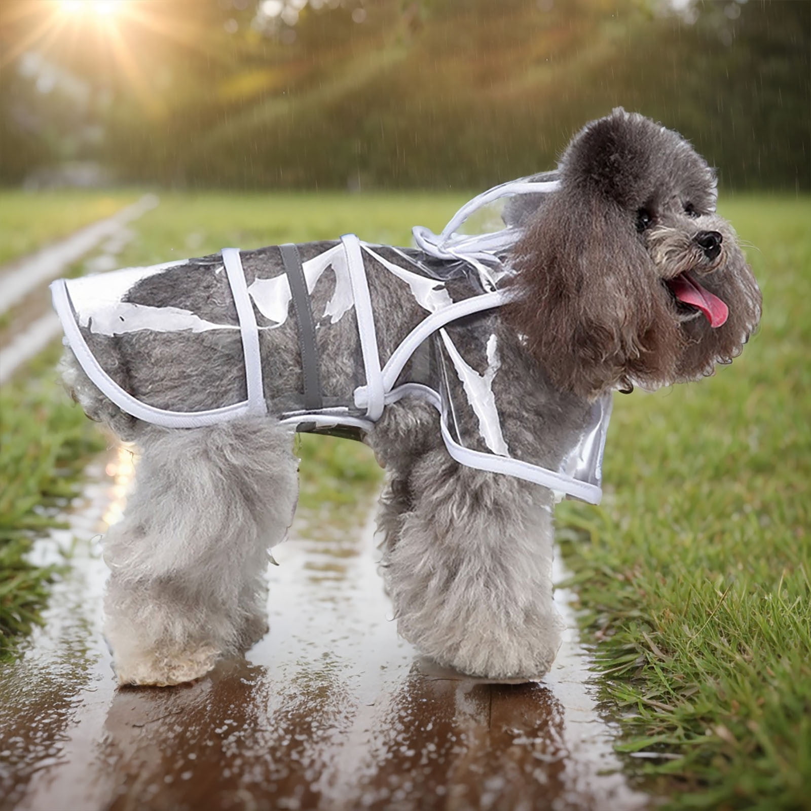 Four Seasons Pet Raincoat Large And Small Dogs Raincoat Transparent